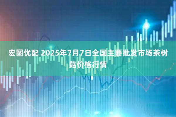 宏图优配 2025年7月7日全国主要批发市场茶树菇价格行情